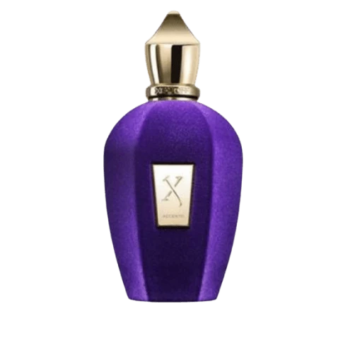 XJ VV ACCENTO 100ML