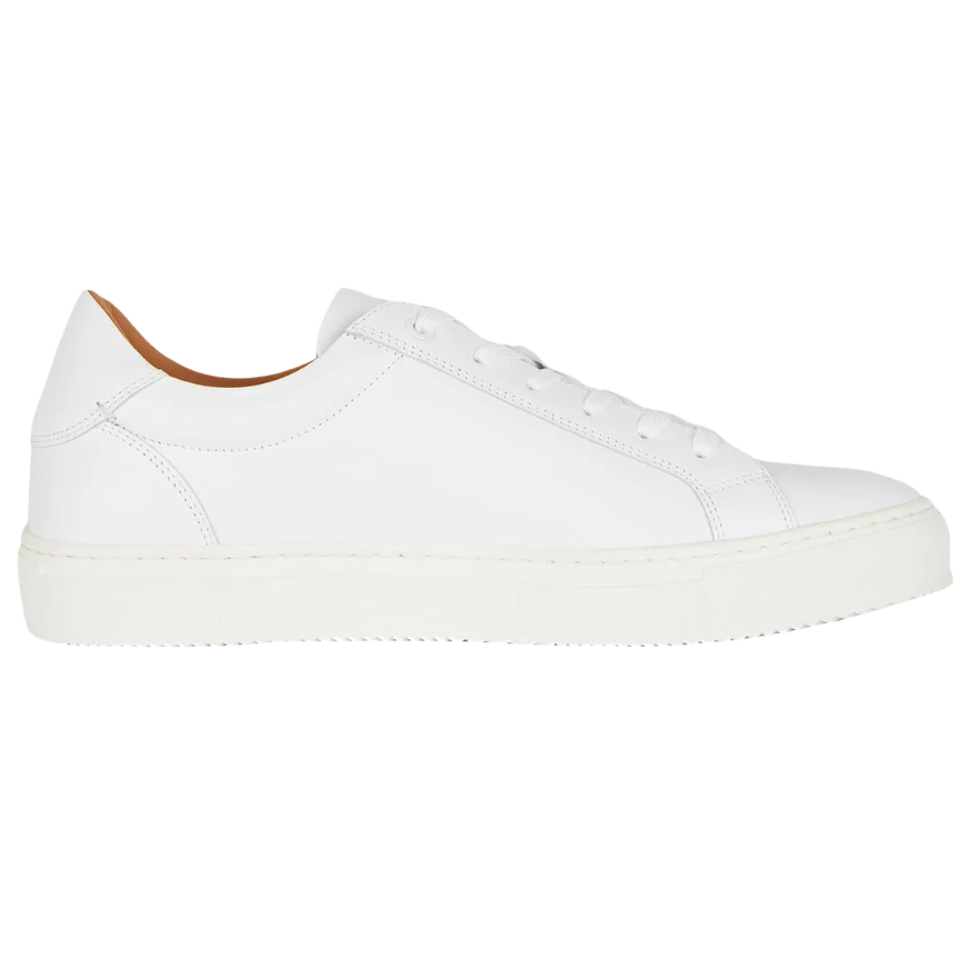 BOGGI TENIS BO18C004101