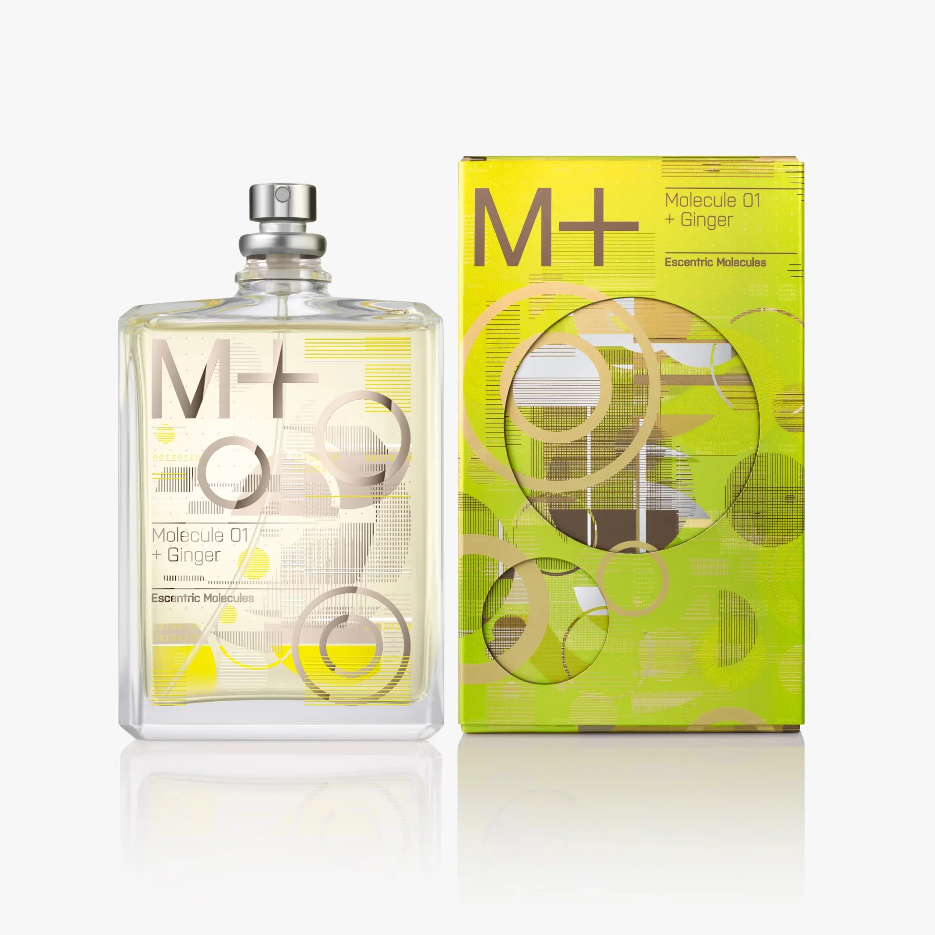 MOLECULE 01 + GINGER