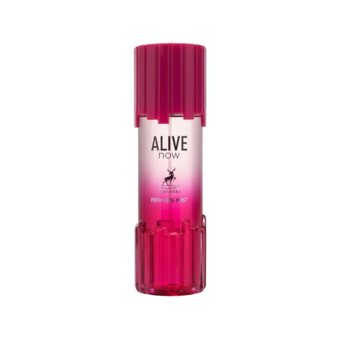 MAISON A ALIVE NOW(