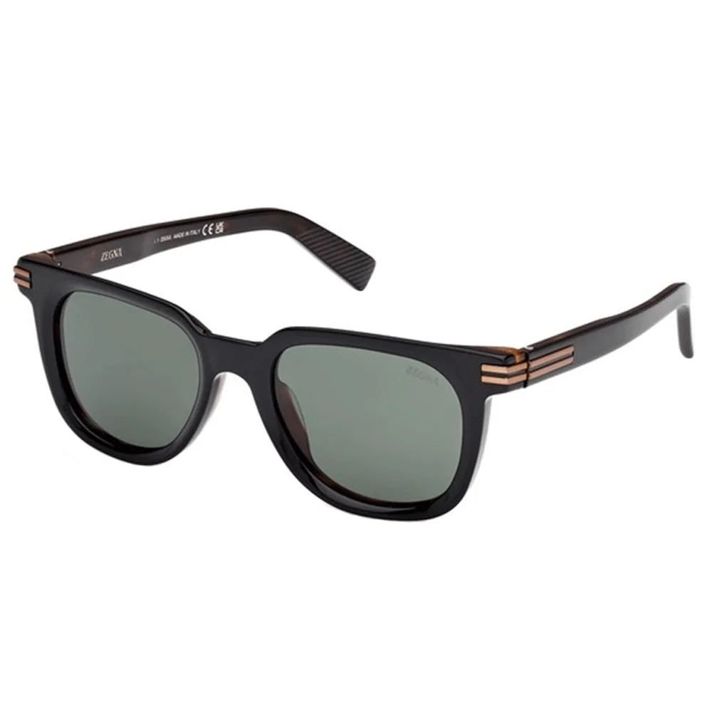 ZEGNA EZ0248