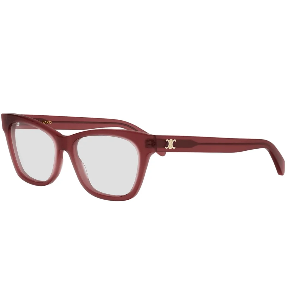 CELINE 50184I
