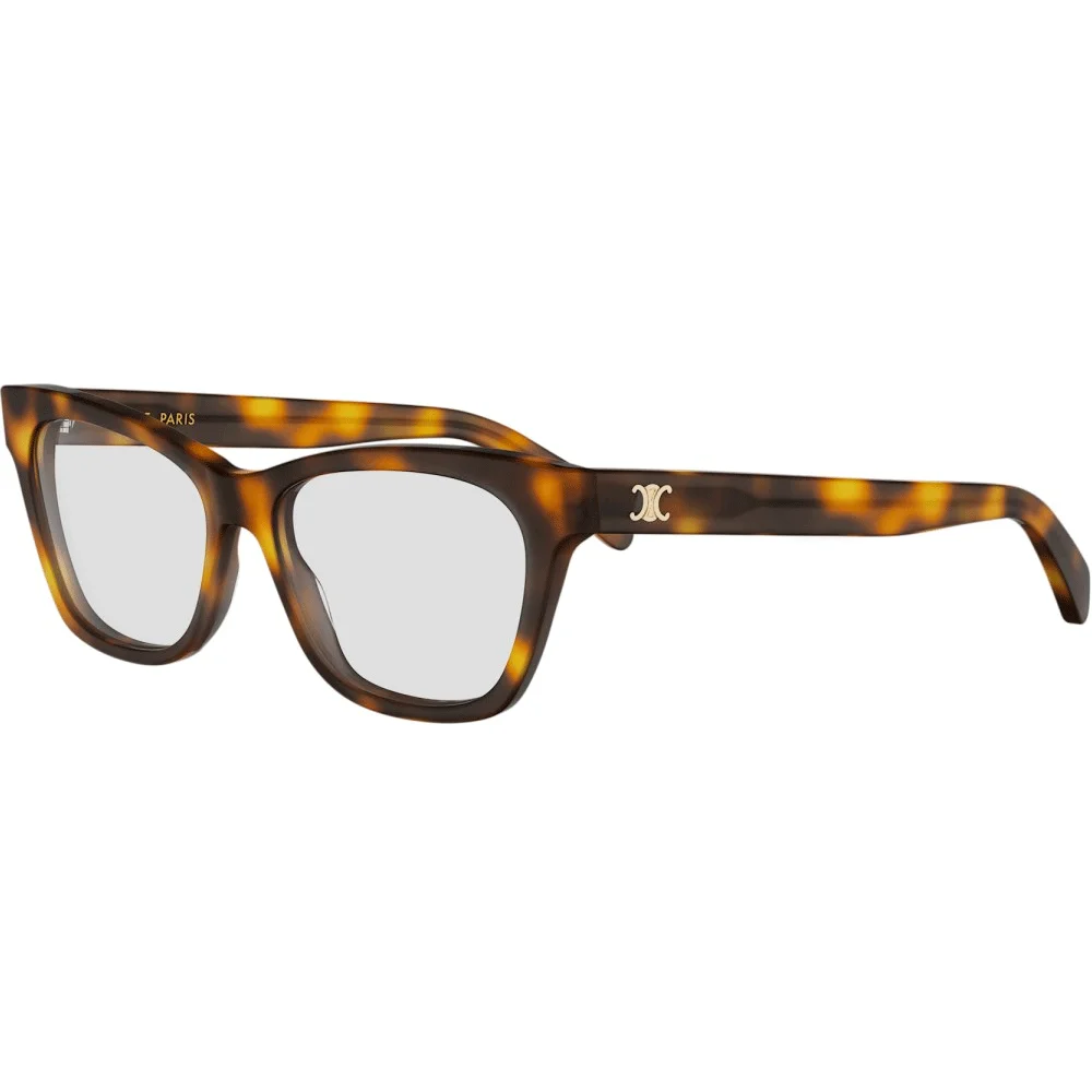 CELINE 50184I