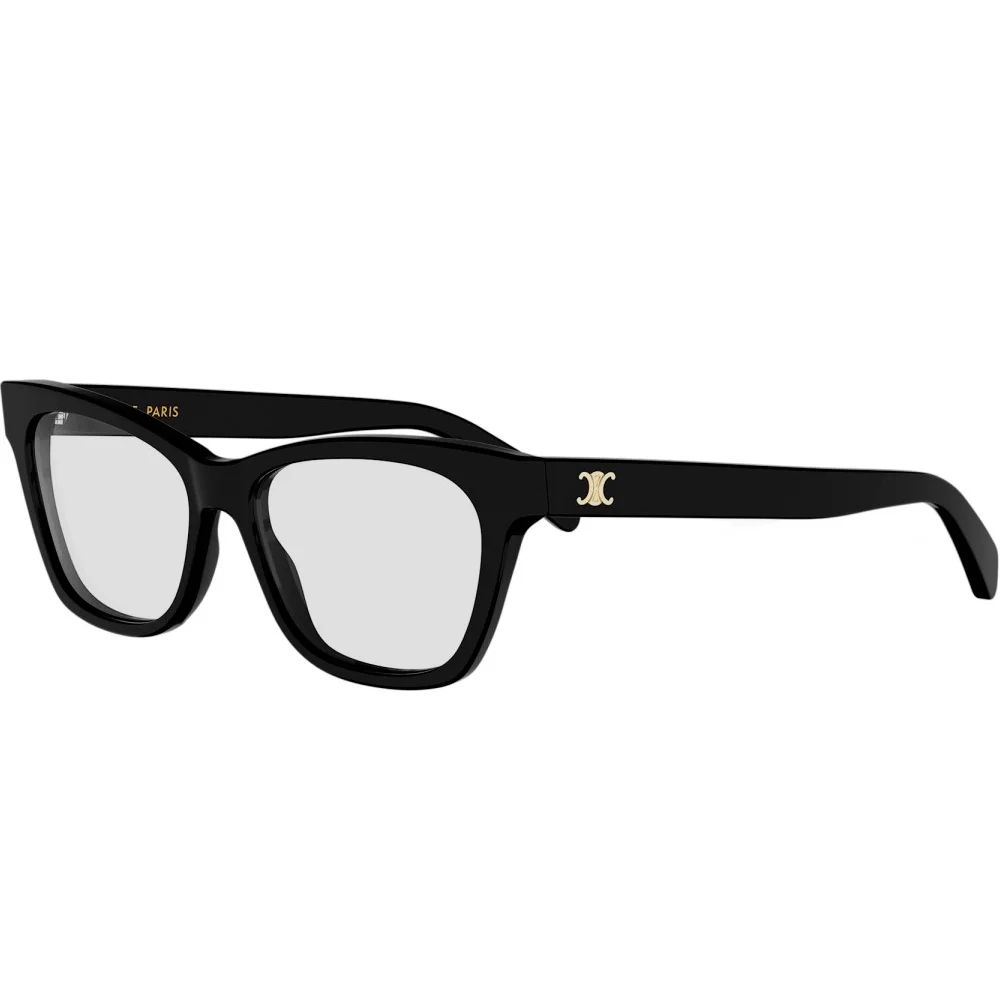 CELINE 50184I