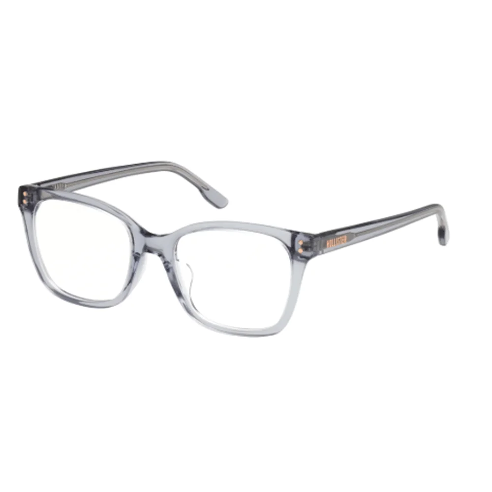 HOLLISTER HL50024